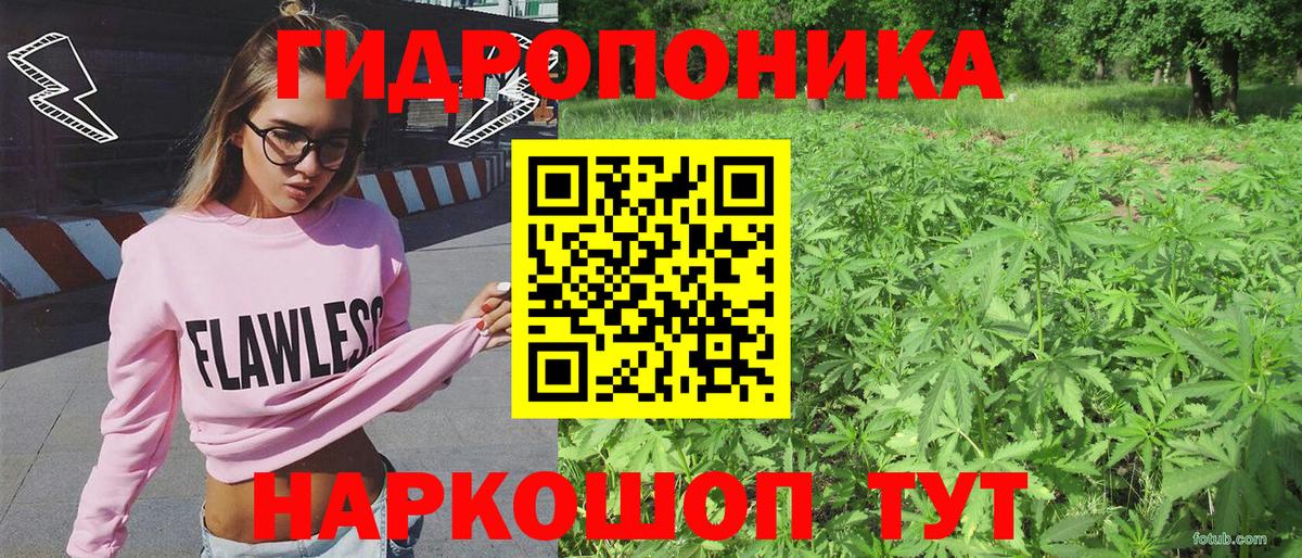 Марихуана OG Kush  Вход с VPN  Шишки марихуана Amnesia  Анжеро-Судженск  Бошки марихуана Amnesia 